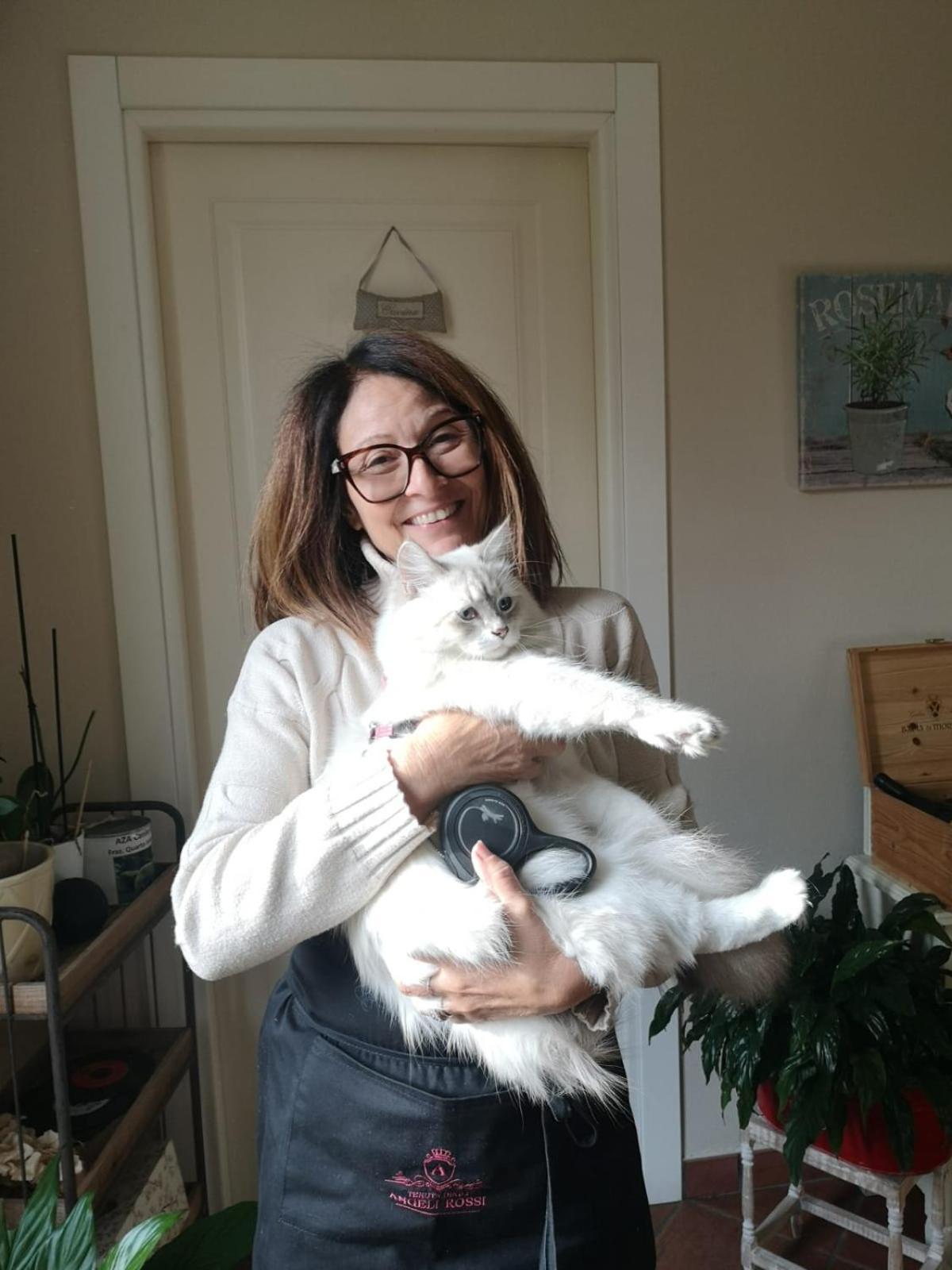 Tenuta Degli Angeli Rossi Asti Eksteriør billede