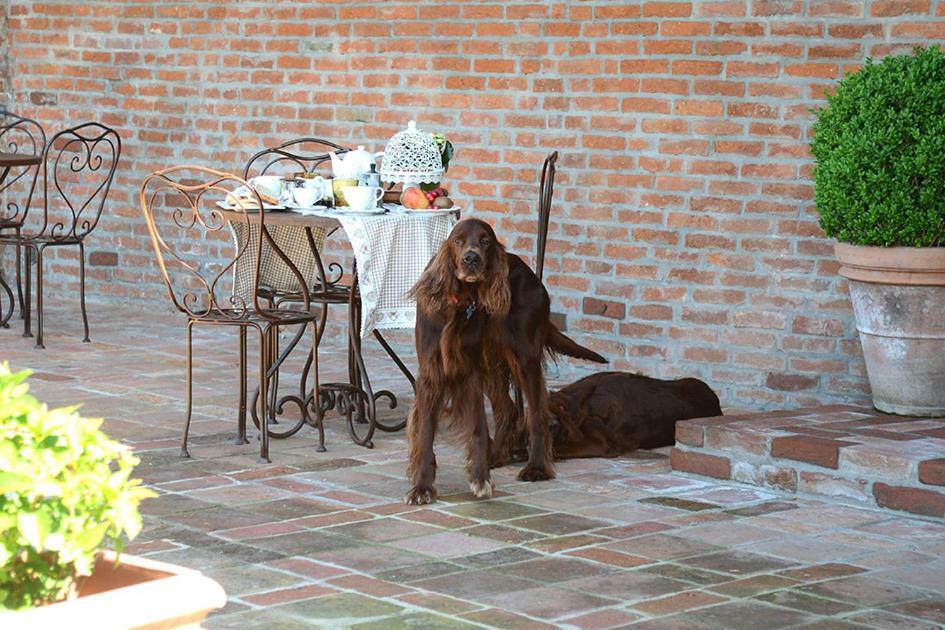 Tenuta Degli Angeli Rossi Asti Eksteriør billede
